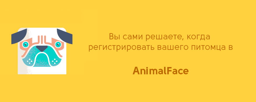Самостоятельное внесение животного в AnimalFace